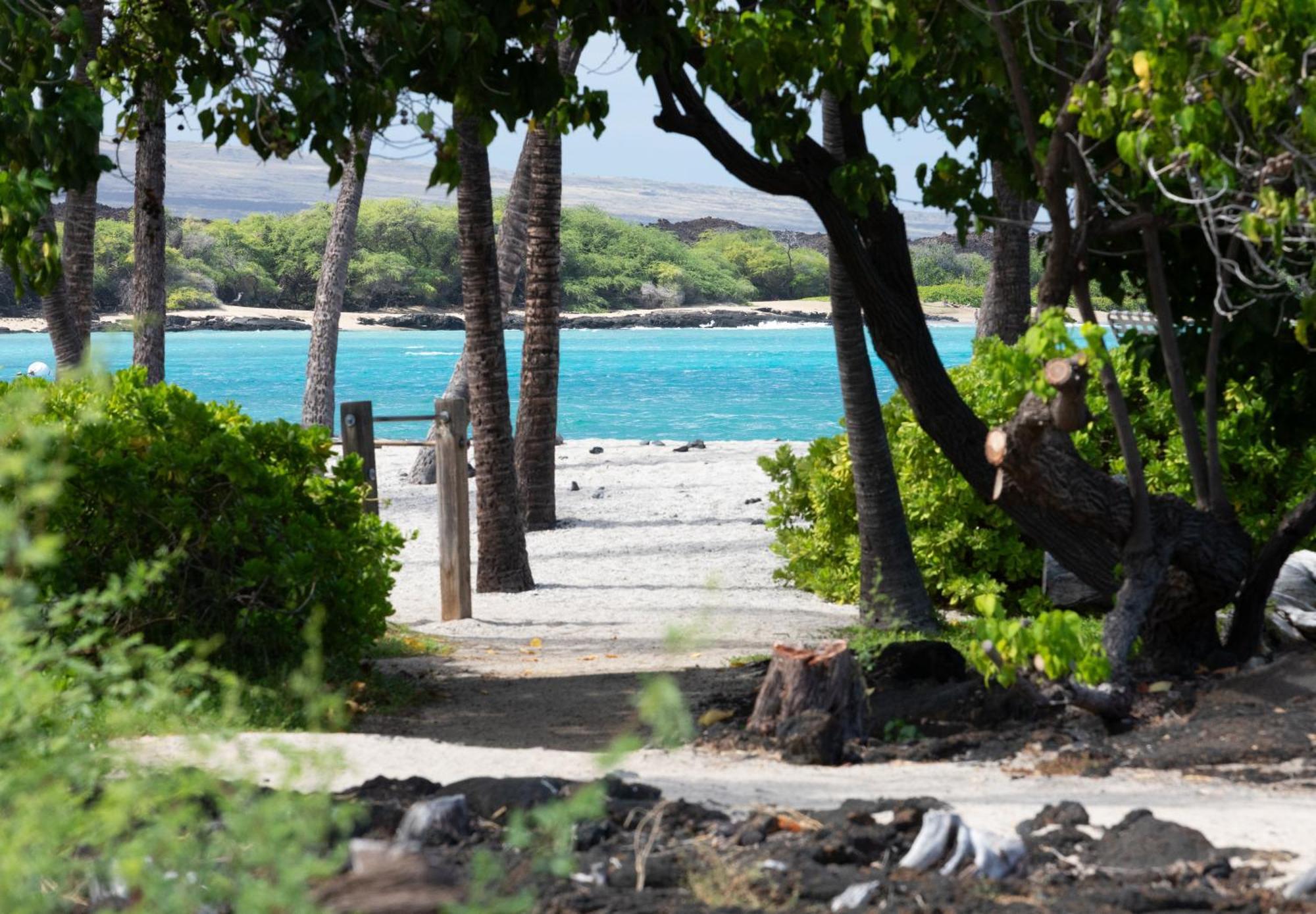 Hilton Pool Pass Included, Kolea - Luxe Penthouse Holiday home *