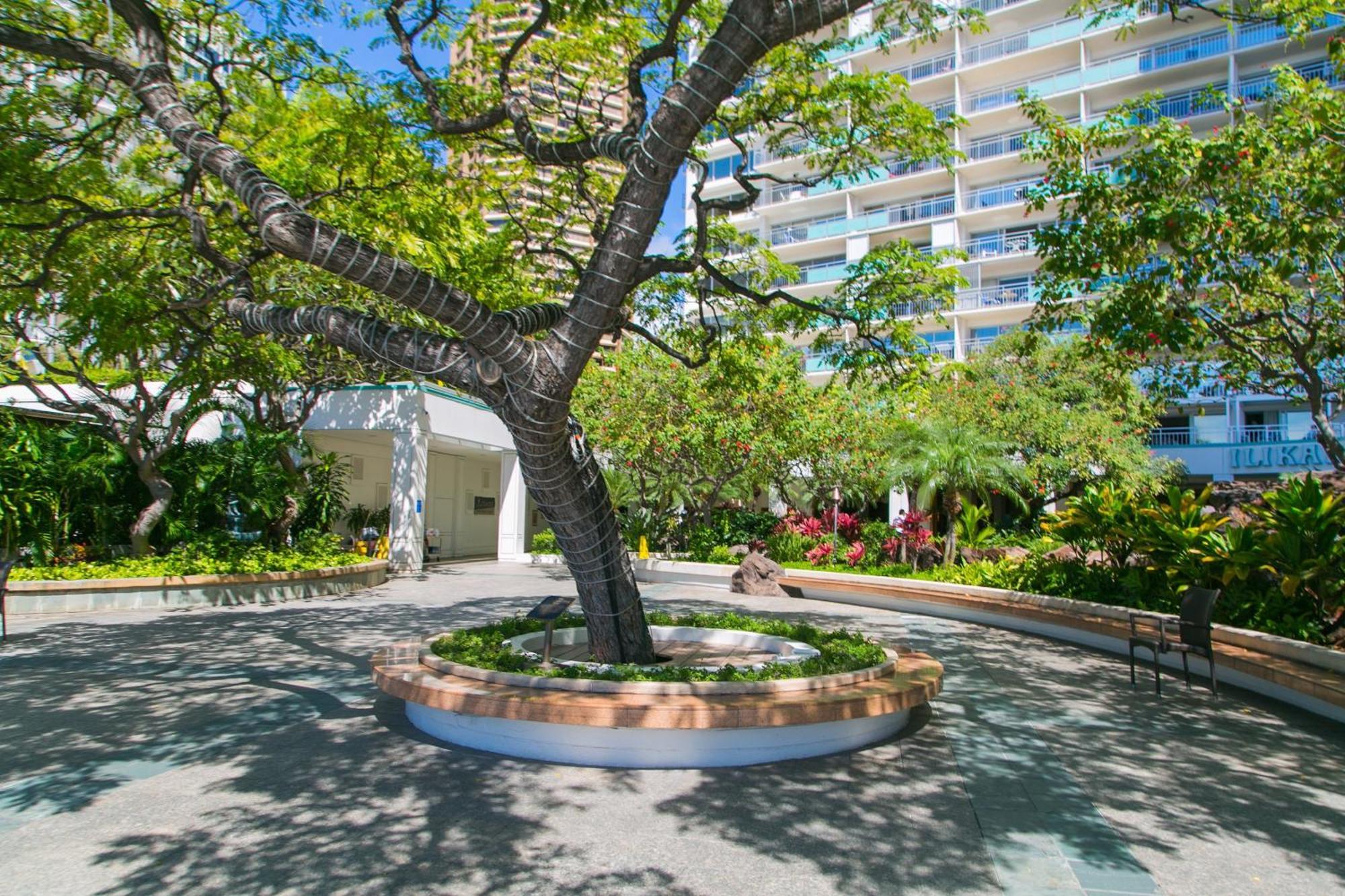 Apartment Ilikai Tower 1403 View 1br *