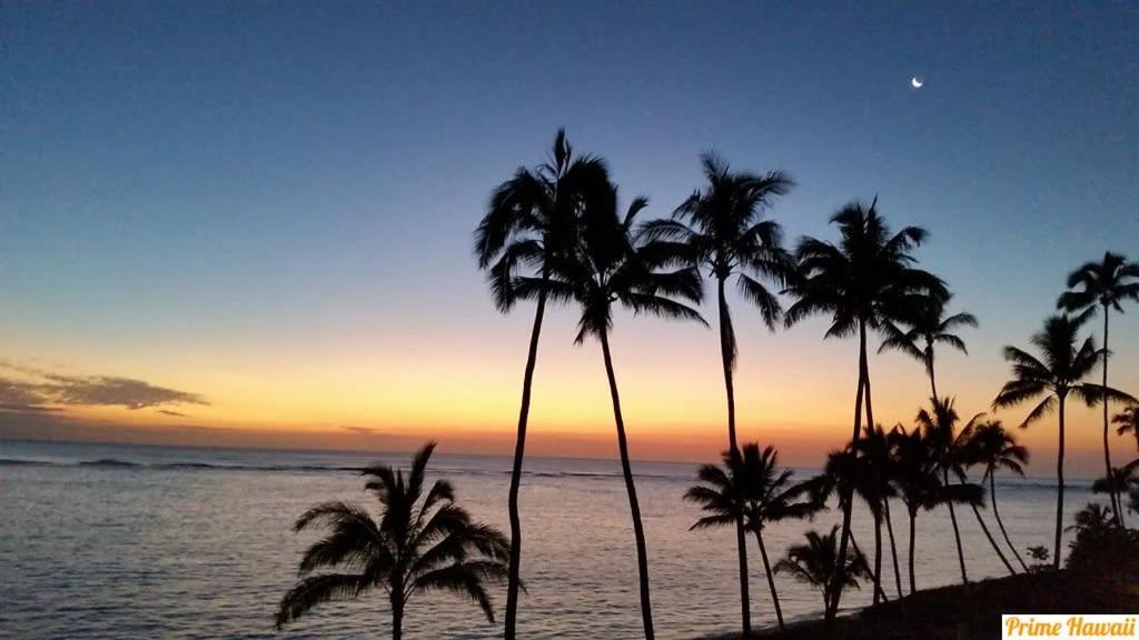 Pats At Punalu'u - Beachfront 7 * Hau'ula