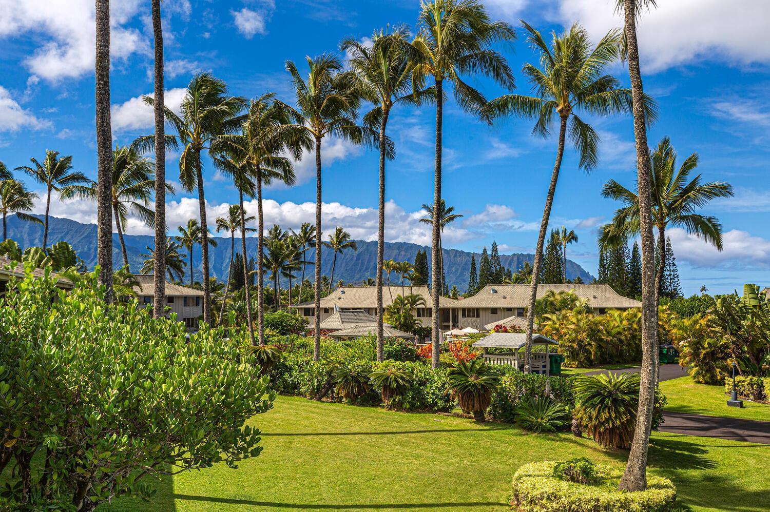 Apartment Alii Kai Ii 8h
