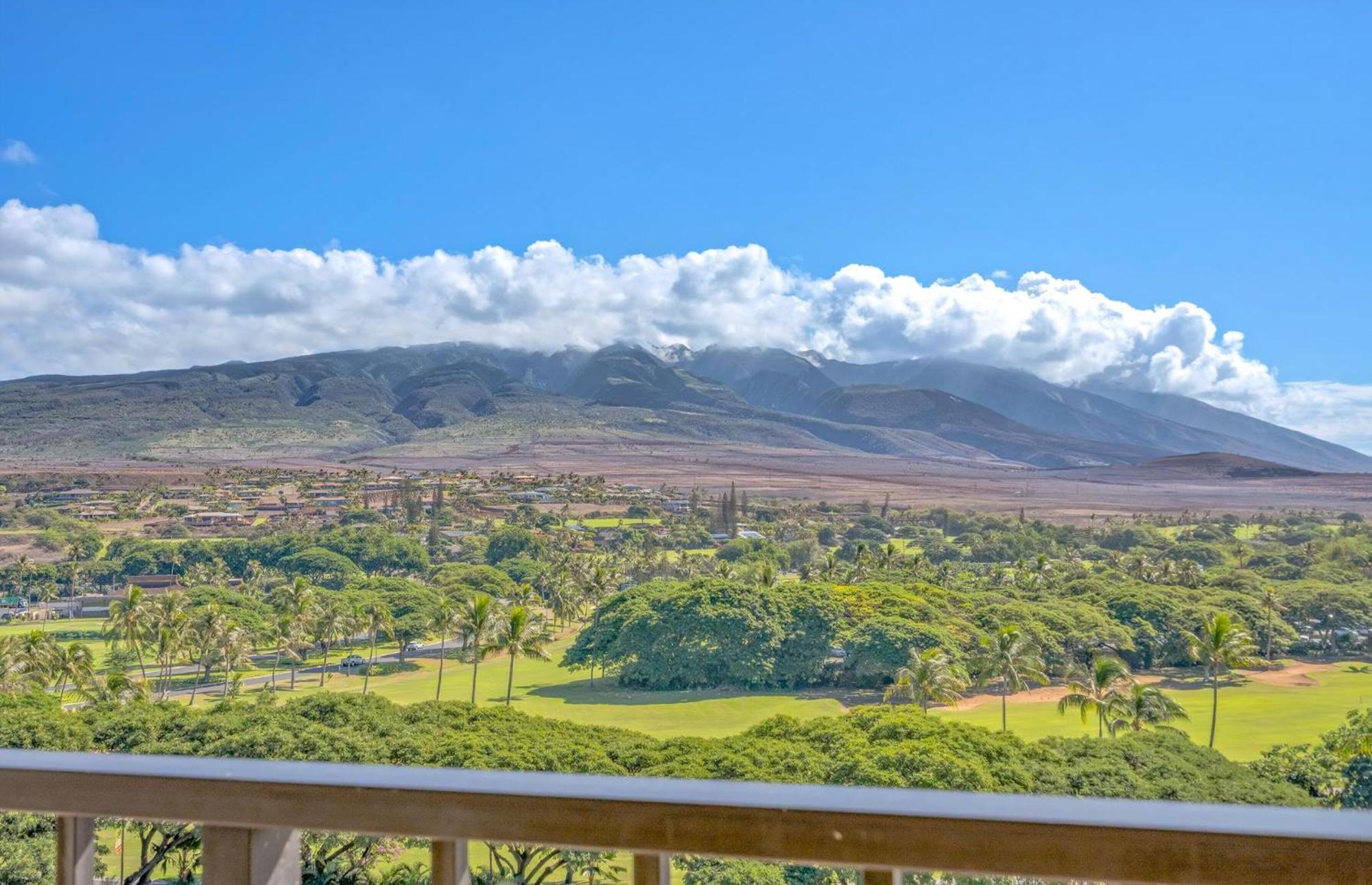 The Kaanapali Alii By Maui