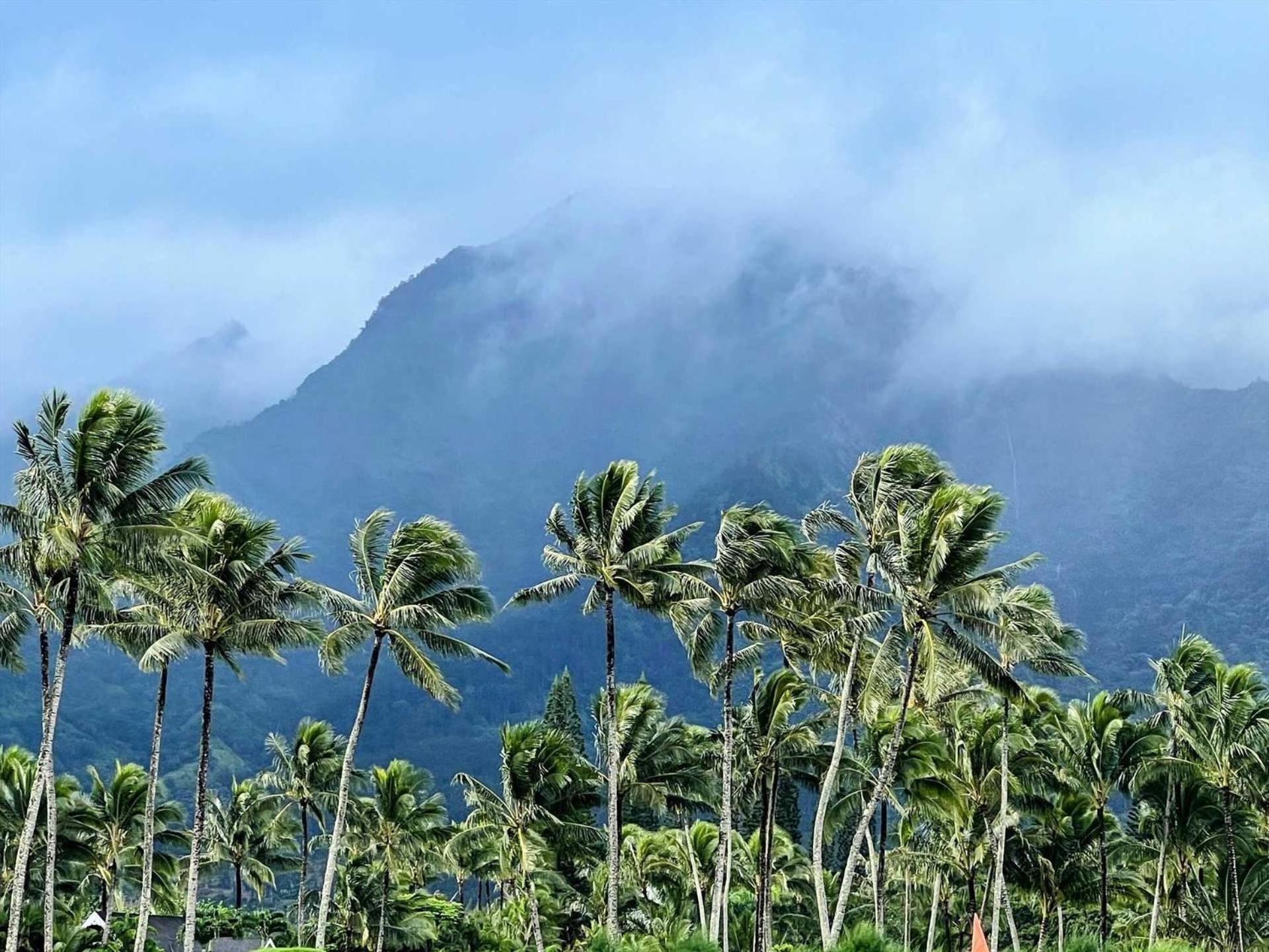 Kauai E16 Holiday home