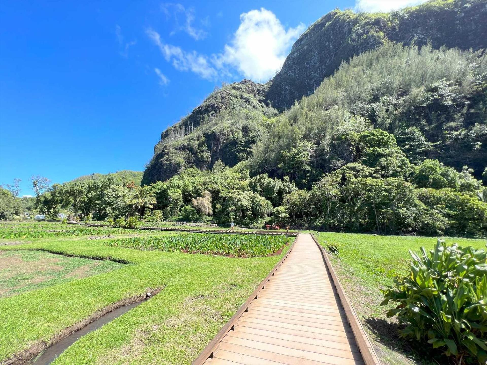 Kauai E16 Holiday home Lihue
