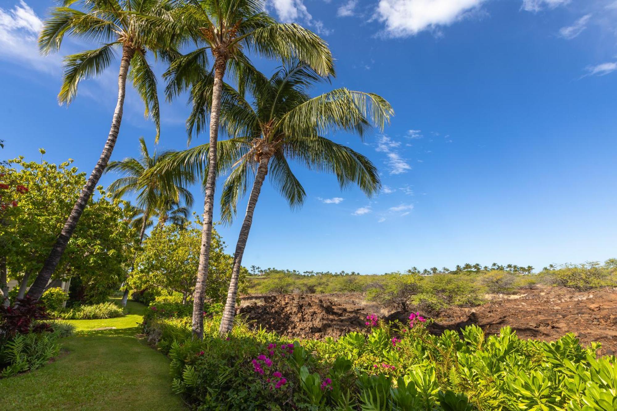 Holiday home Mauna Lani Palm D-2 Corner Unit Historic View *