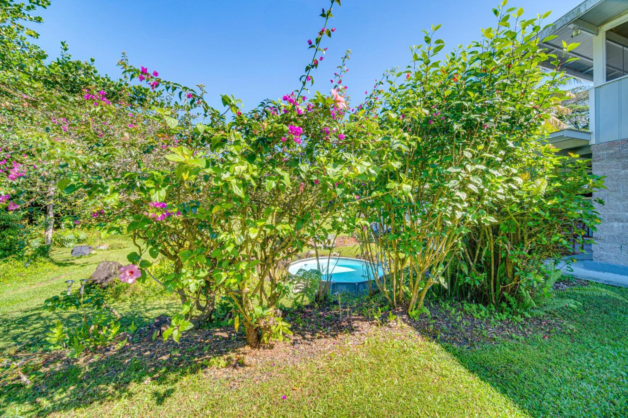 On Beautiful Acre With Pool And Deck!