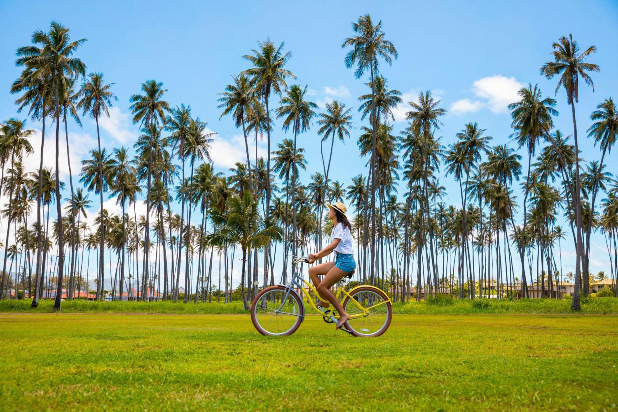 Hotel Sheraton Coconut