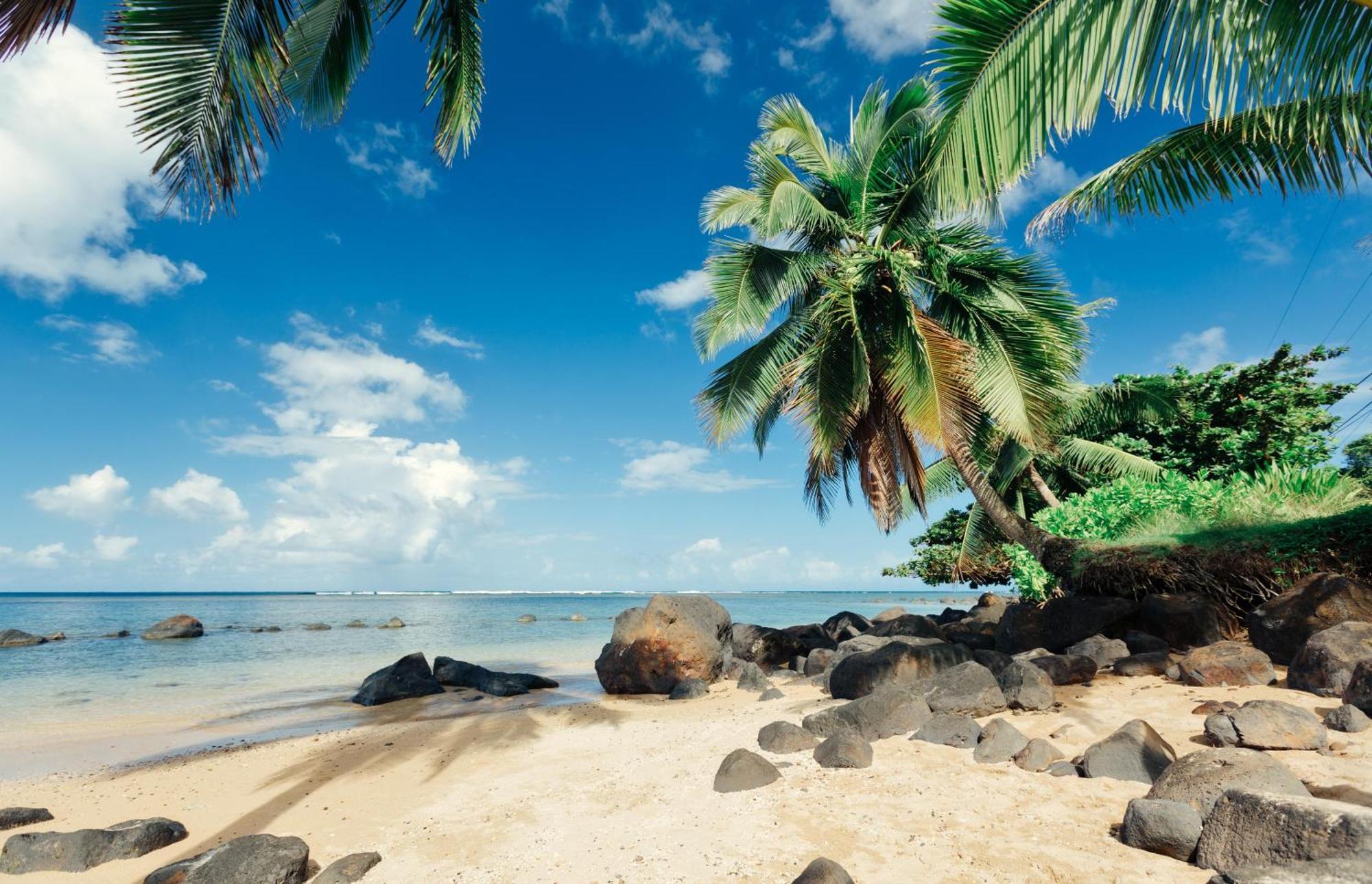 Paniolo 210a Princeville
