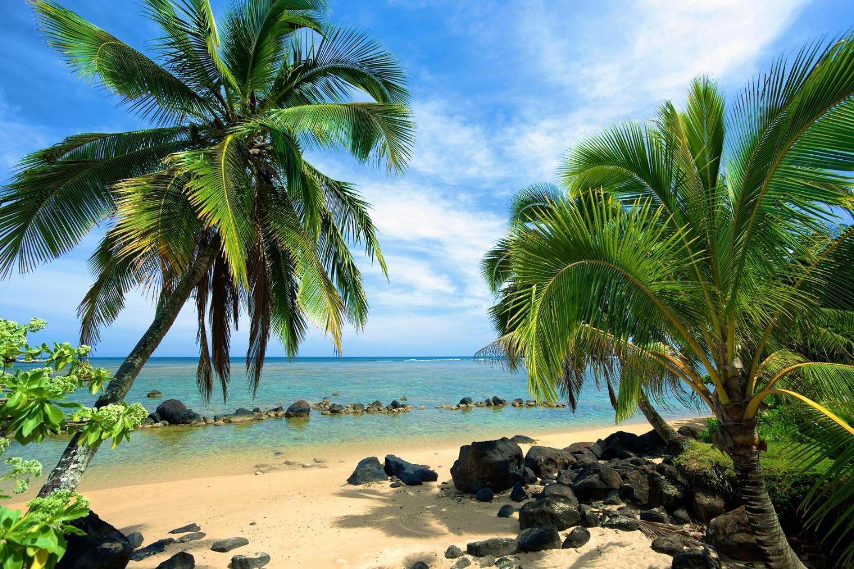 Paniolo 210a * Princeville