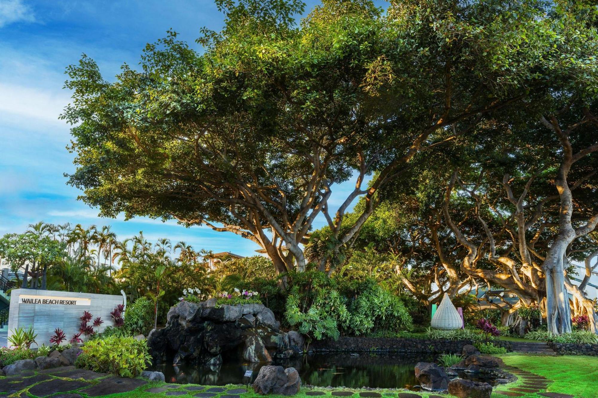- Marriott, Maui 5*