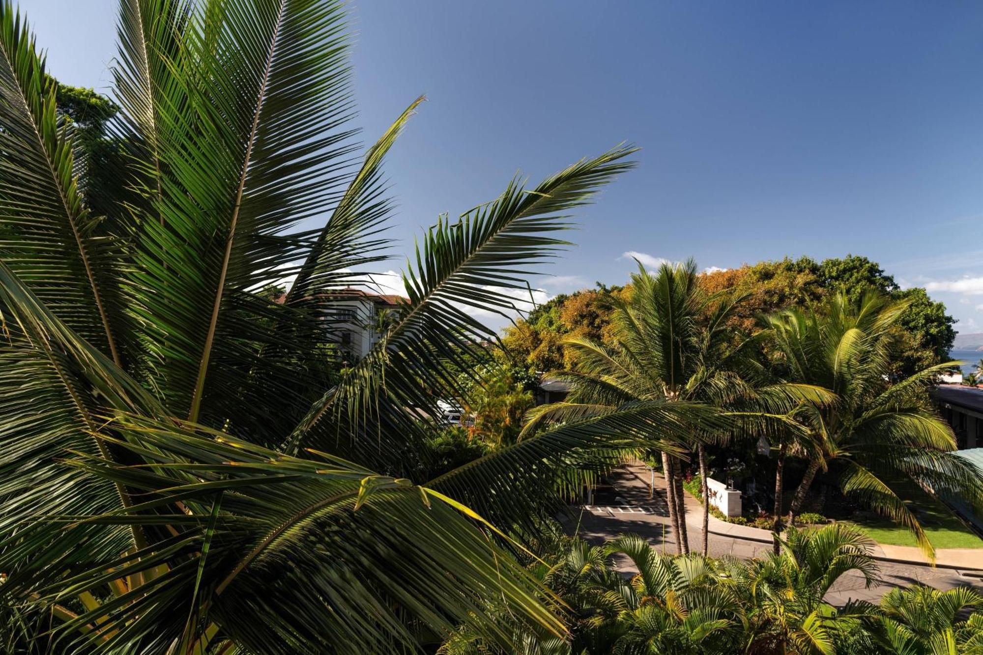 - Marriott, Maui