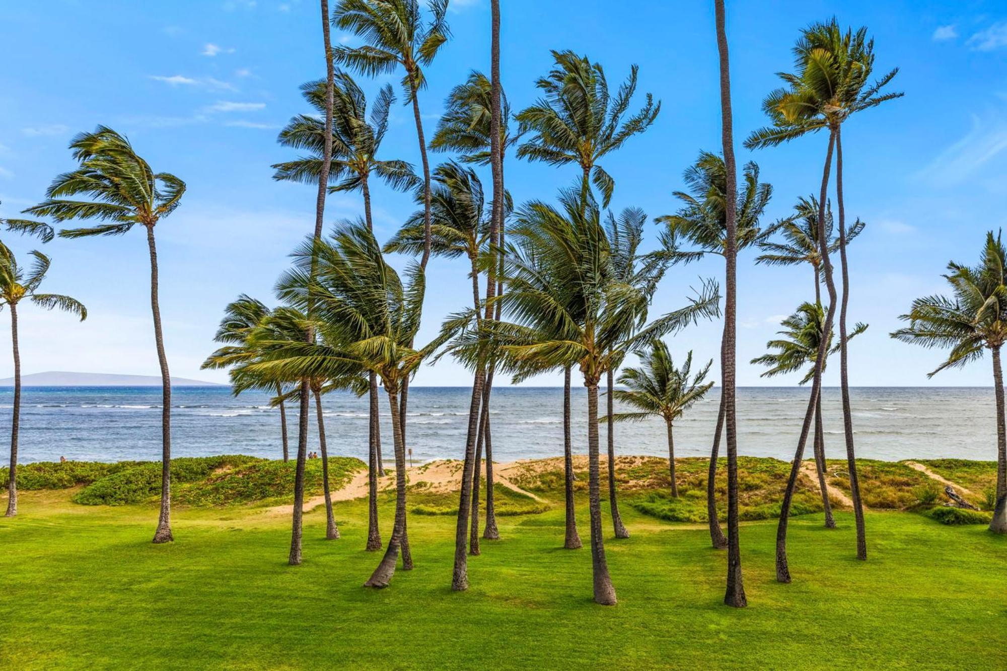 Hale Kai O'kihei 118