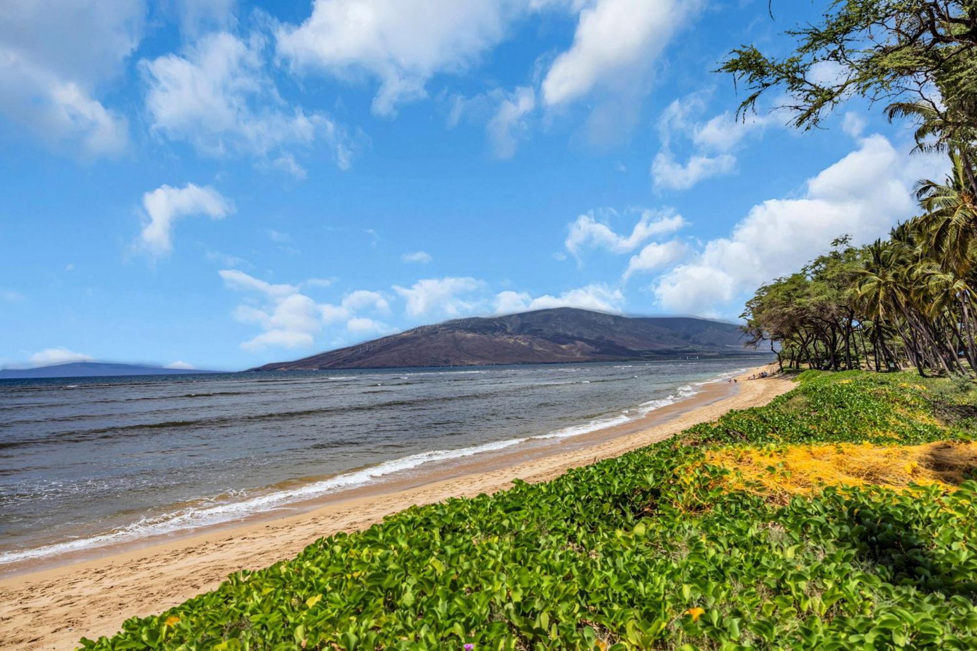 Hale Kai O'kihei 118 Holiday home