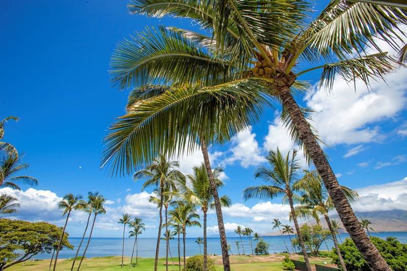 Leinaala Maui And 2* Kihei