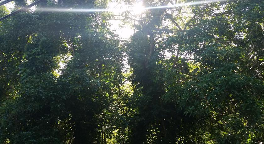 Homestay Reach Beyond Rainforest Retreat *