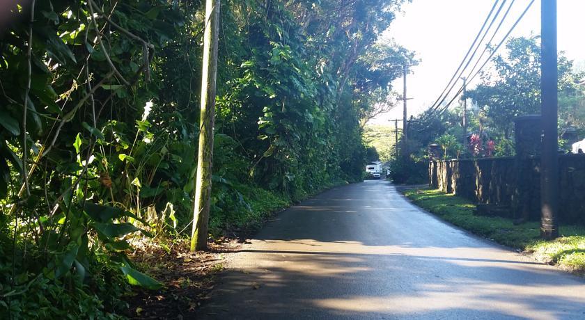 Reach Beyond Rainforest Retreat Homestay Honolulu