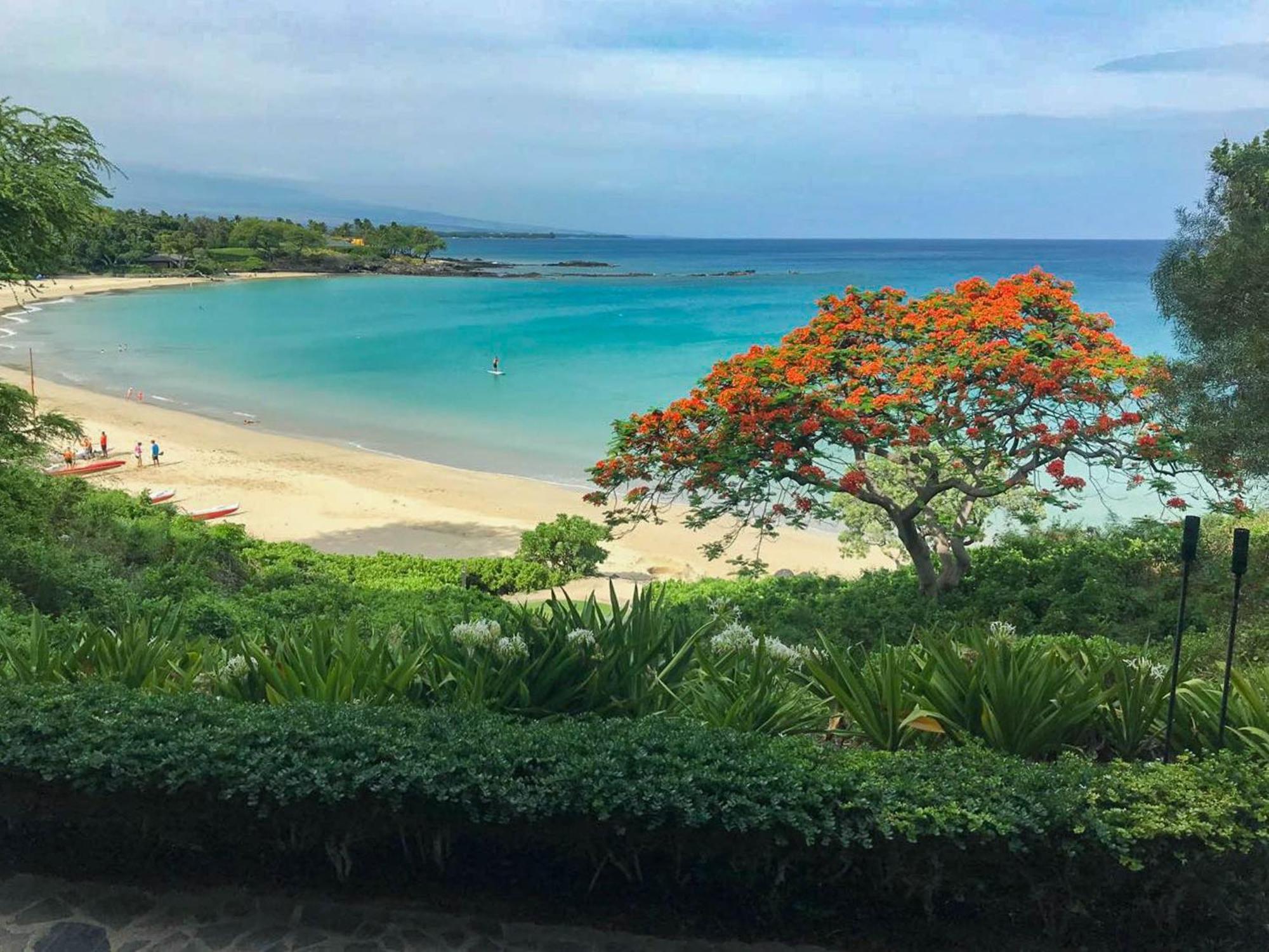 Dreams True Dreamlike 3br Kamilo With Amazing View And Pool *