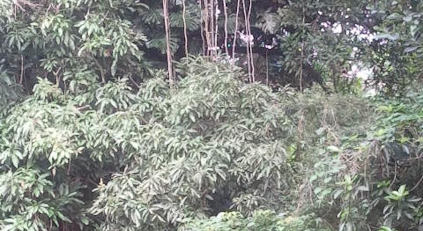 Reach Beyond Rainforest Retreat