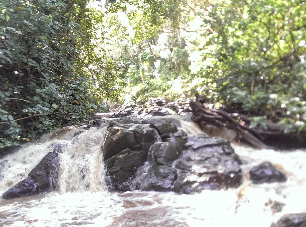 Reach Beyond Rainforest Retreat *
