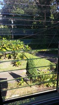 Reach Beyond Rainforest Retreat *