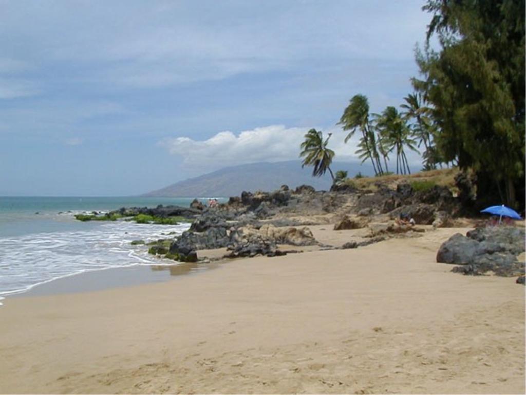 Maui Vista Vacation Apartment Kihei