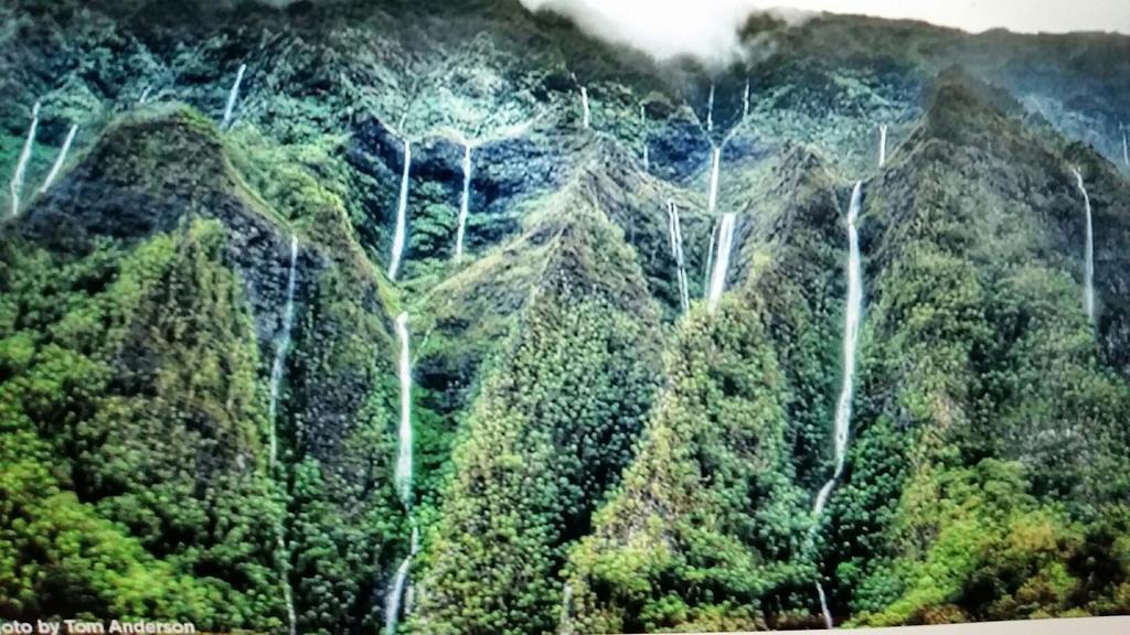 Homestay Reach Beyond Rainforest Retreat *