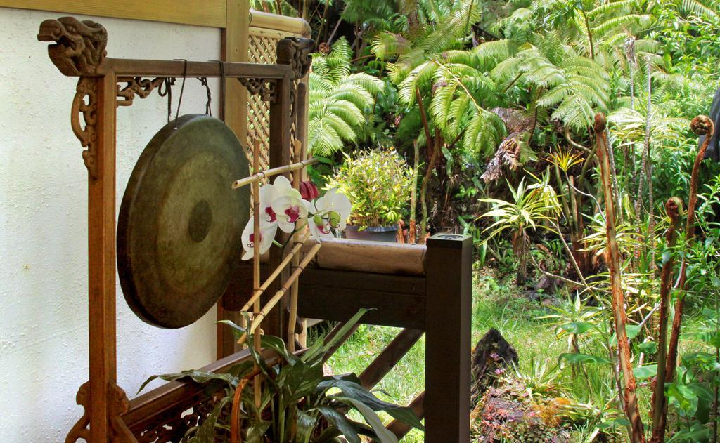Bed & Breakfast Lotus Garden