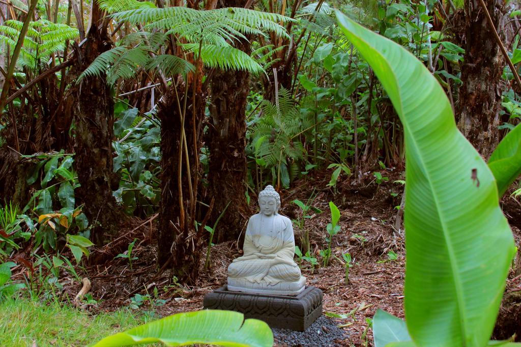 Lotus Garden 3*