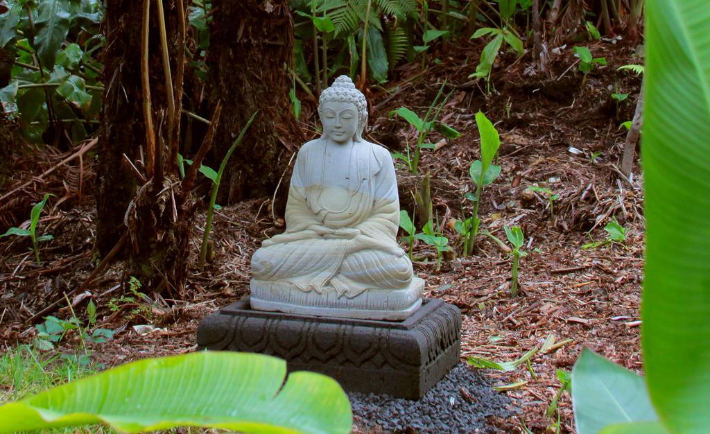 Lotus Garden Bed & Breakfast