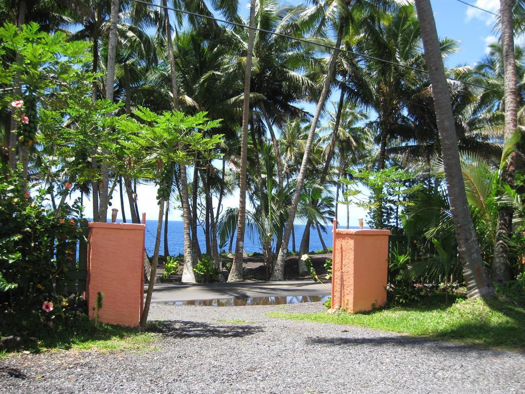 Oceanfront Near The Kalapana Lava Flows *