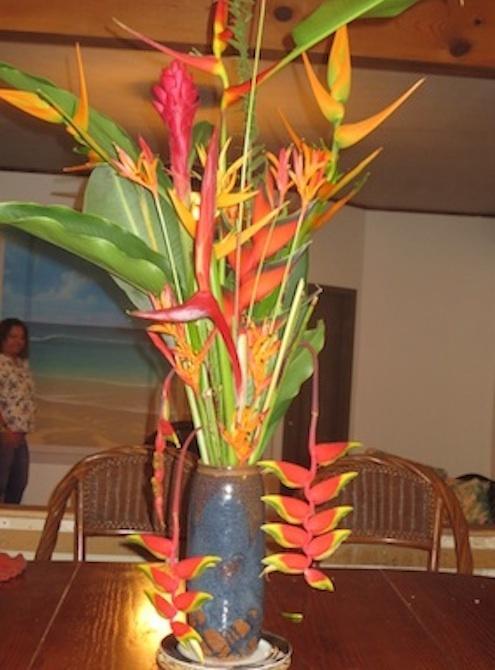 Reach Beyond Rainforest Retreat