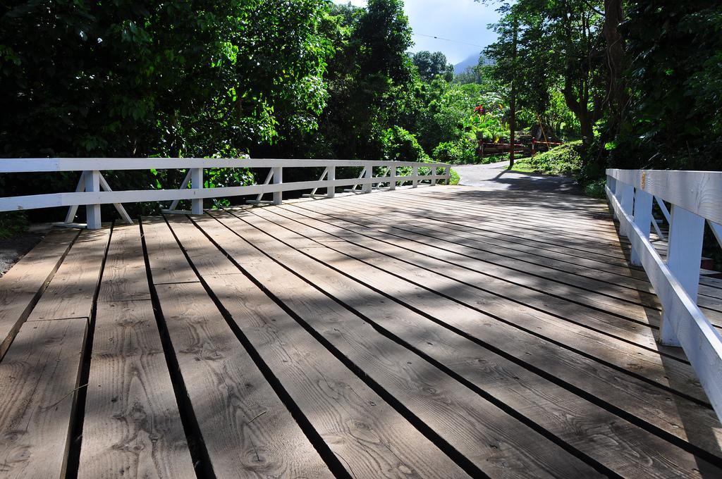 Homestay Reach Beyond Rainforest Retreat *