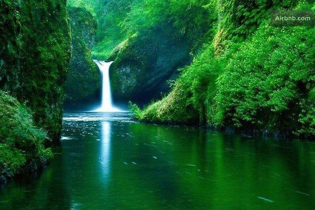 Homestay Reach Beyond Rainforest Retreat *