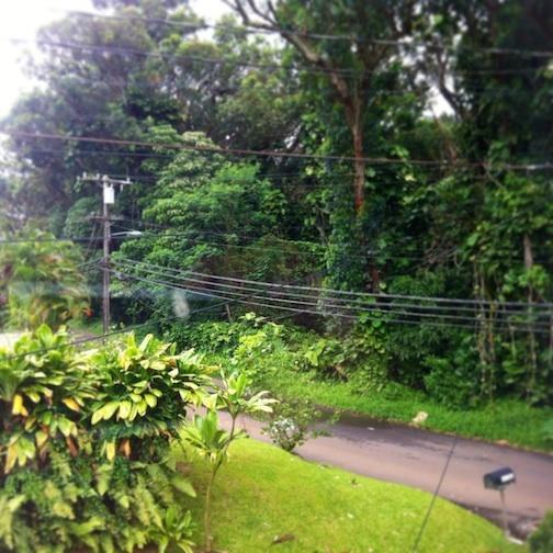 Homestay Reach Beyond Rainforest Retreat *