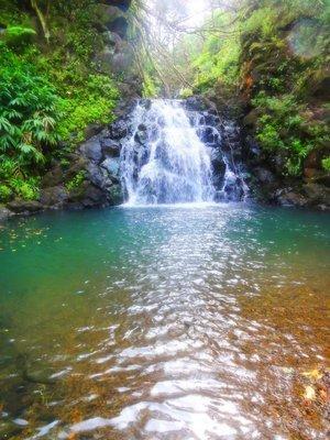 Homestay Reach Beyond Rainforest Retreat Honolulu