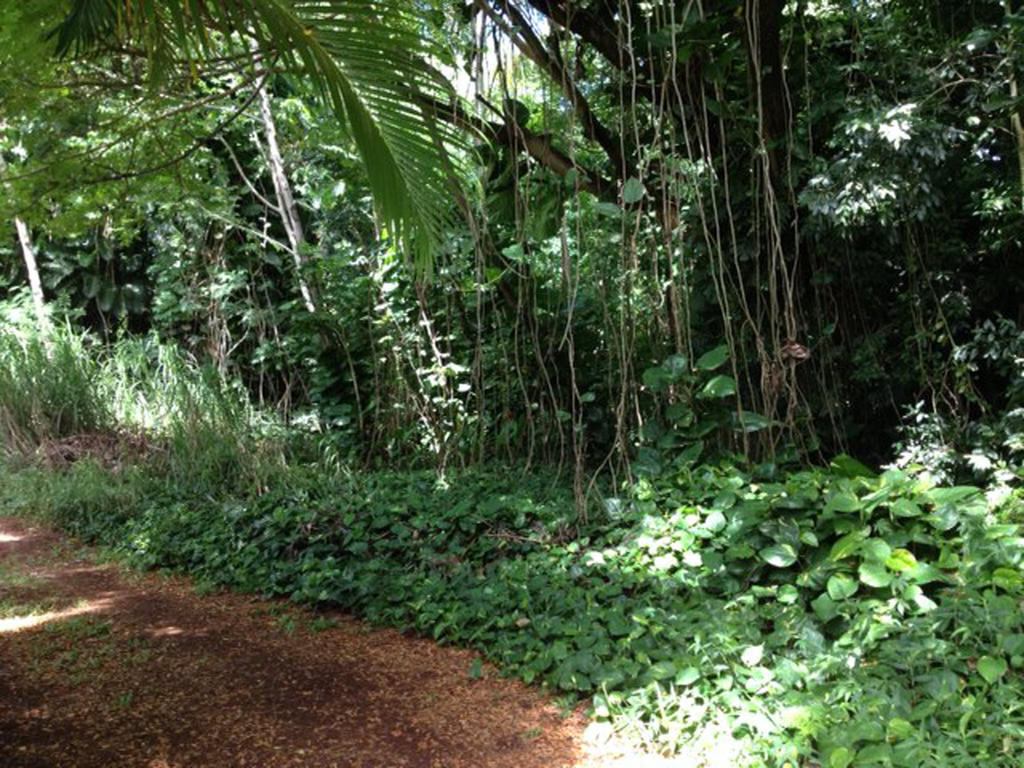 Guest house Heavenly Paradise Hana