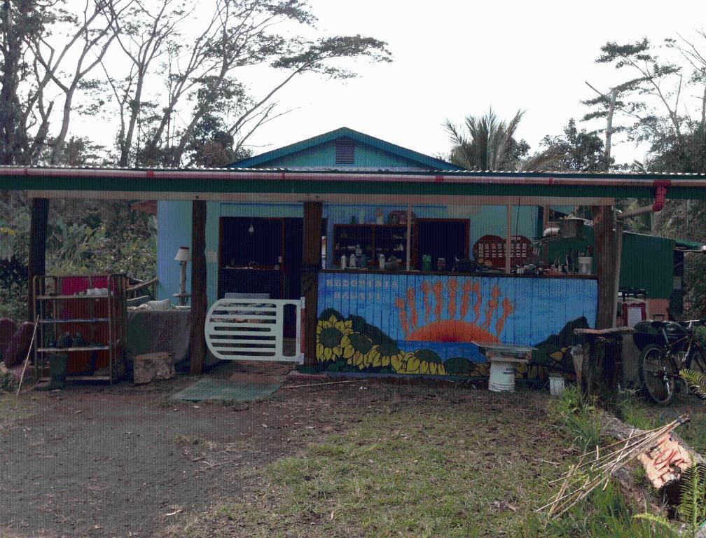 Hedonisia Hawaii Sustainable Community