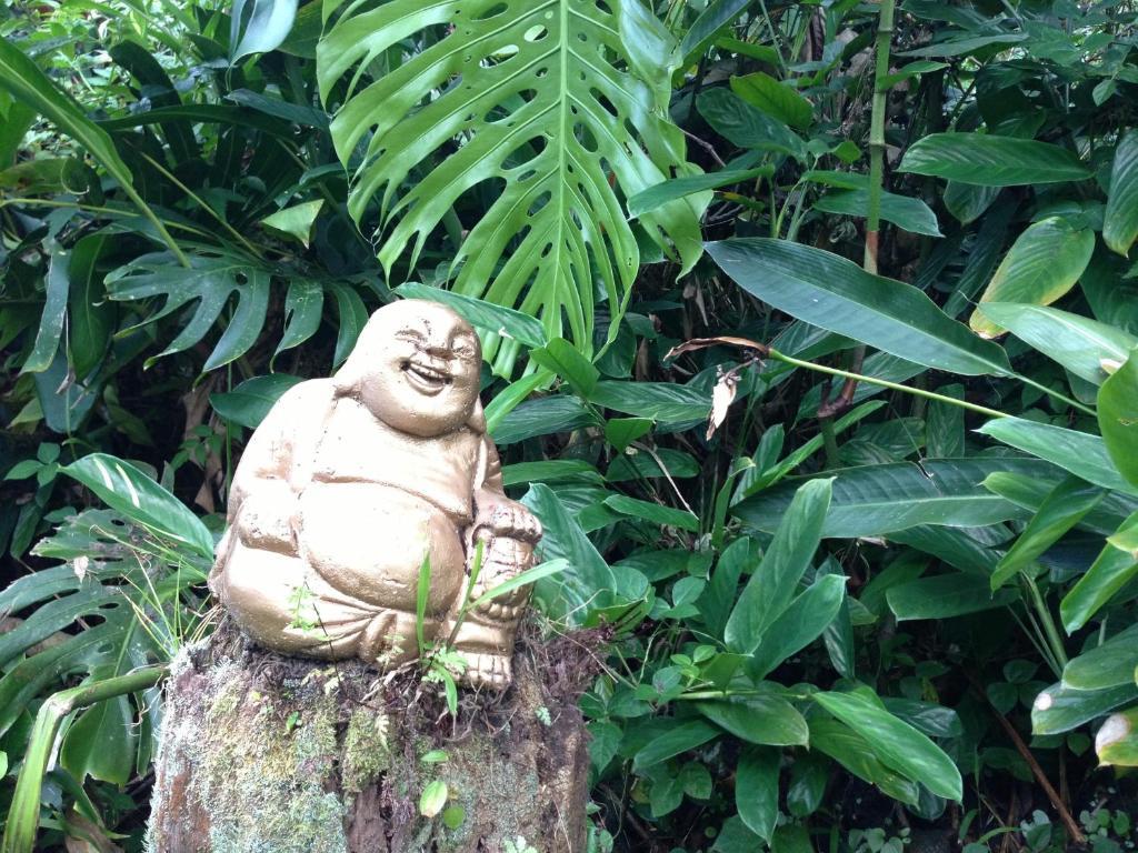 Lodge Hedonisia Hawaii Sustainable Community
