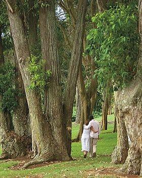 Sensei Lanai, A Four Seasons (adults Only) Resort 5*