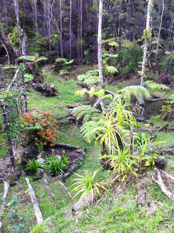 Ixchel Hawaii Holiday home