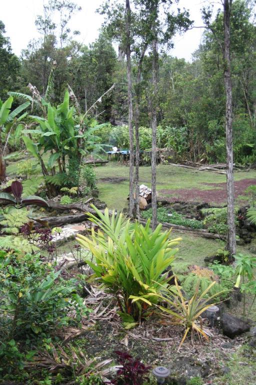 Ixchel Hawaii * Volcano
