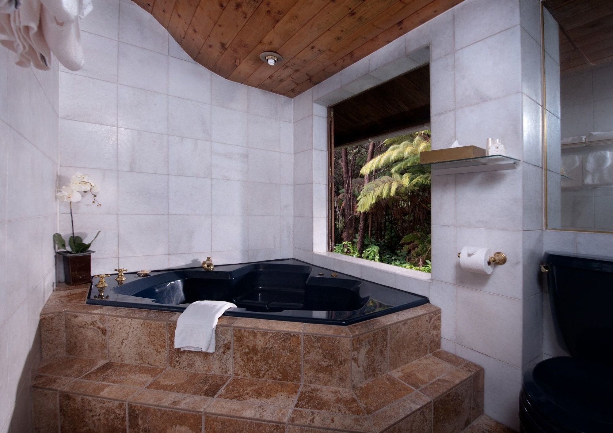 Lodge Kilauea *