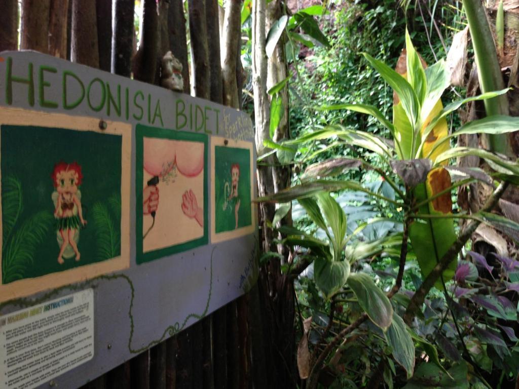 Lodge Hedonisia Hawaii Sustainable Community Pahoa