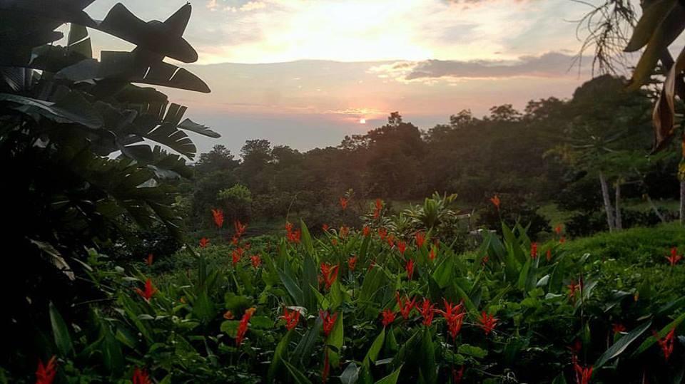 Hale Hualalai Bed & Breakfast 3*