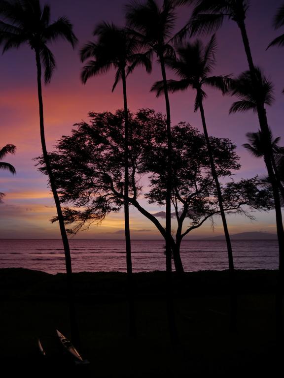 Beautiful 2 Bedroom With Panoramic Ocean Views | Oceanfront Apartment *