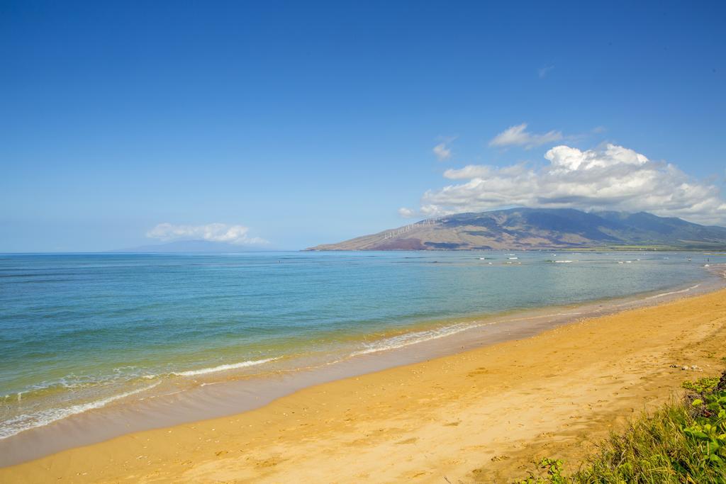 Beautiful 2 Bedroom With Panoramic Ocean Views | Oceanfront