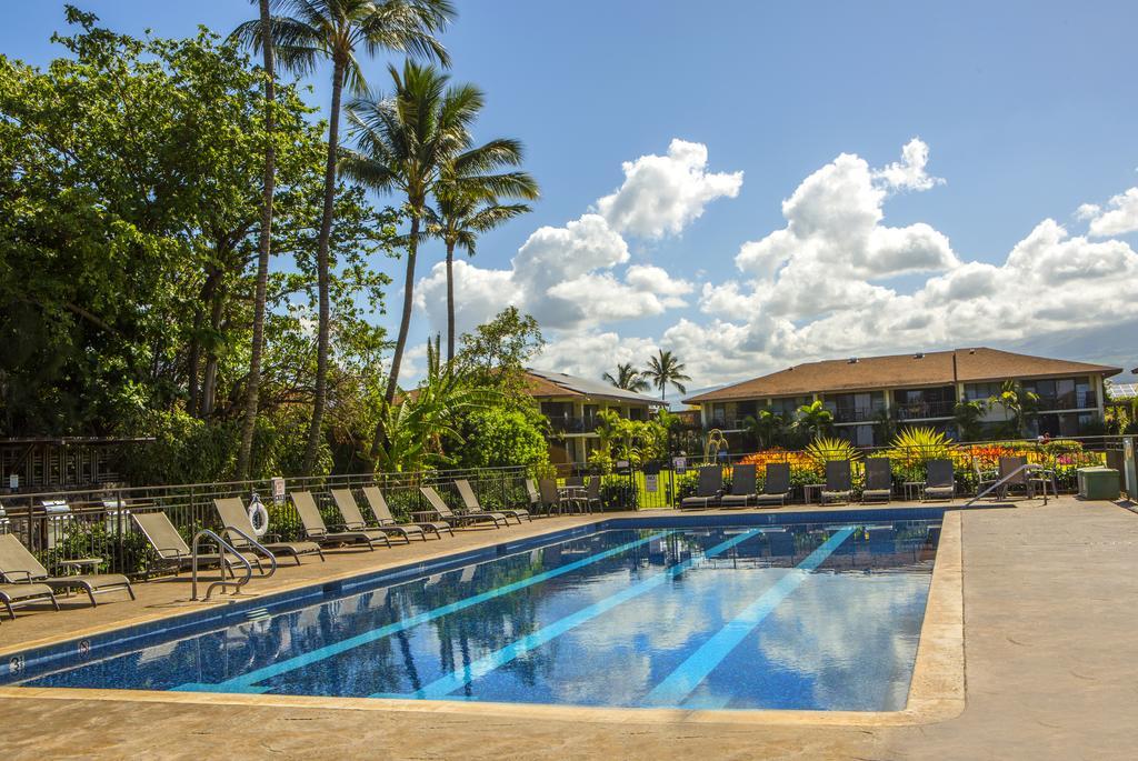 Apartment Beautiful 2 Bedroom With Panoramic Ocean Views | Oceanfront *