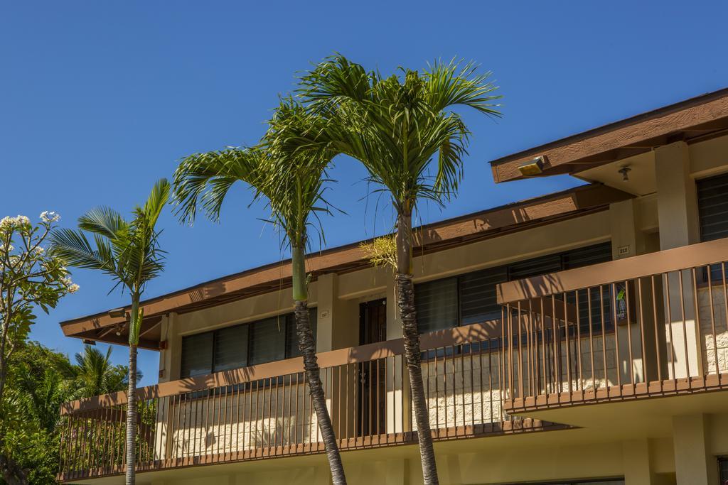 Apartment Beautiful 2 Bedroom With Panoramic Ocean Views | Oceanfront Kihei