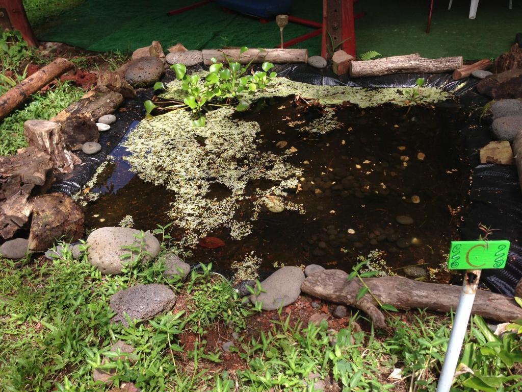 Lodge Hedonisia Hawaii Sustainable Community