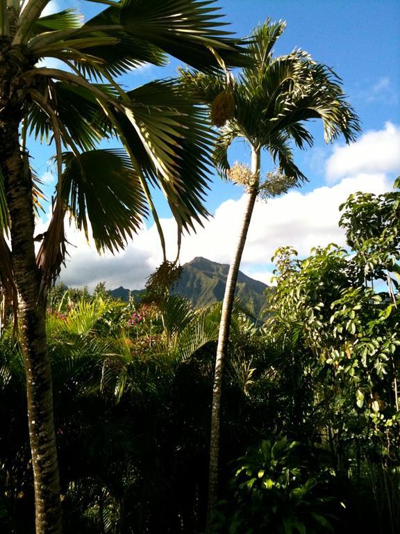 Holiday home Tutu's Hanalei