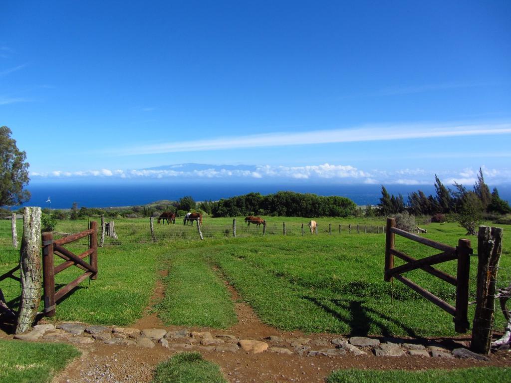 Kohala Lodge- Vacation House Holiday home Hawi